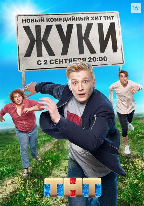 Серия 1. Жуки