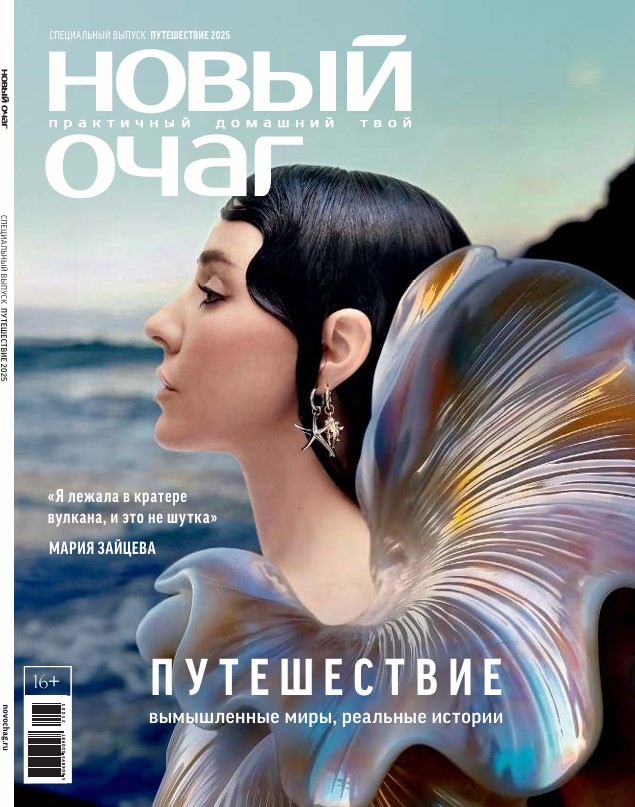 Новый очаг (№2 2025)