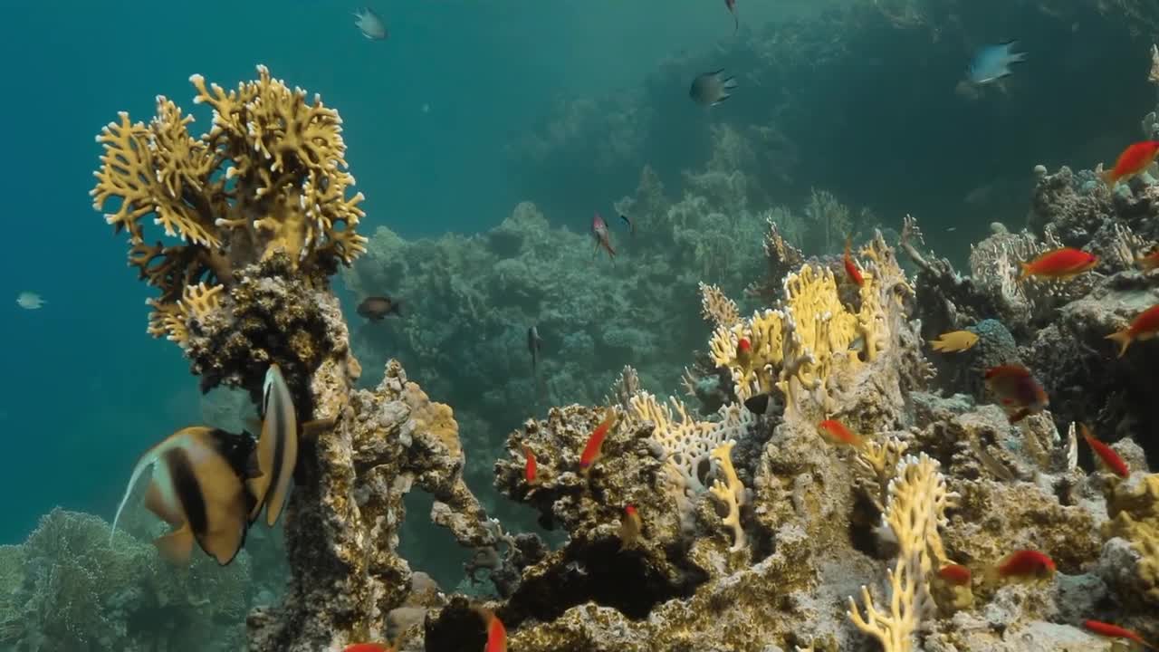Красное море, часть 13
