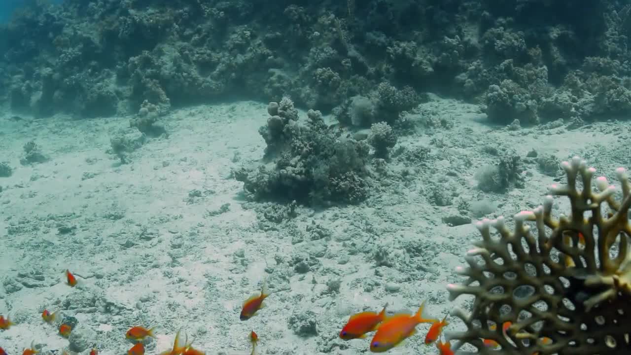 Красное море, часть 3