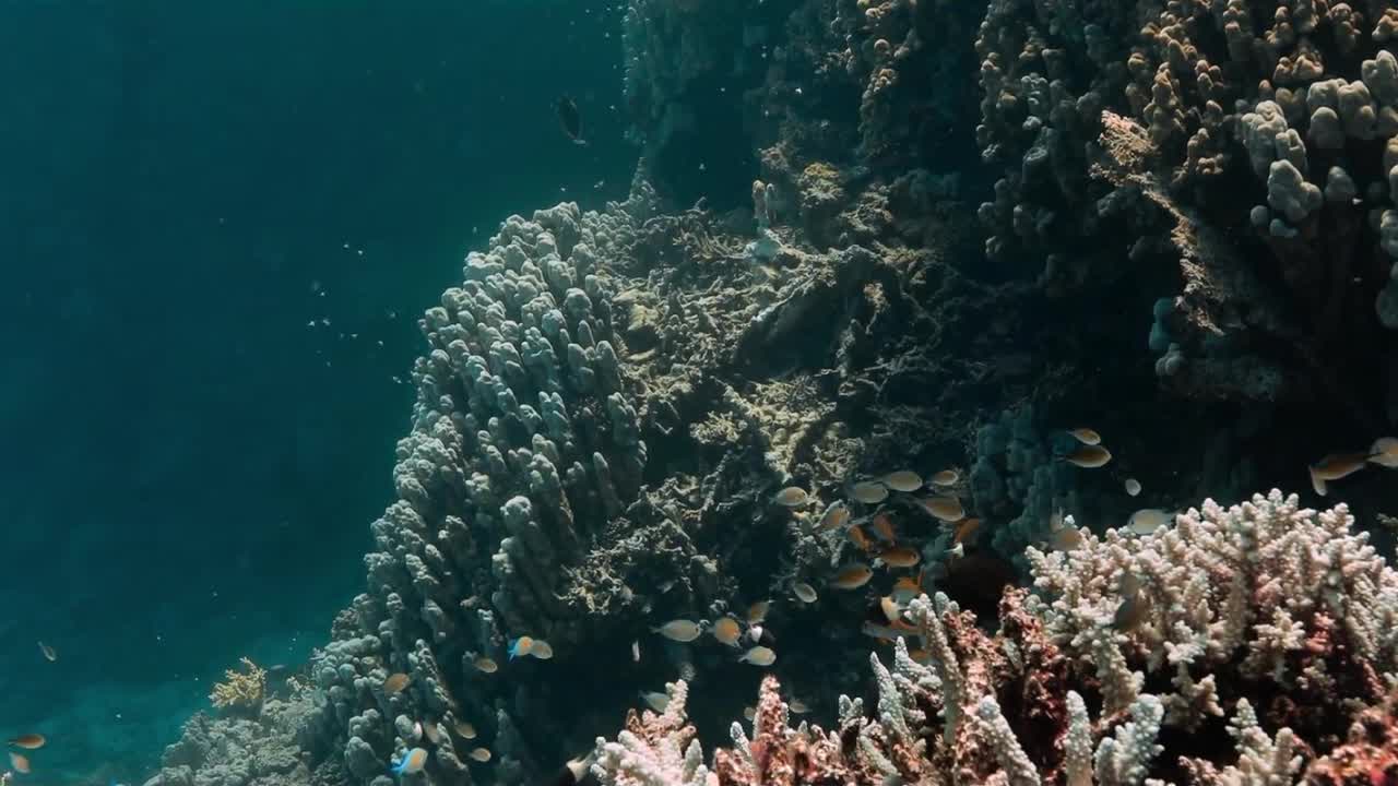 Красное море, часть 12